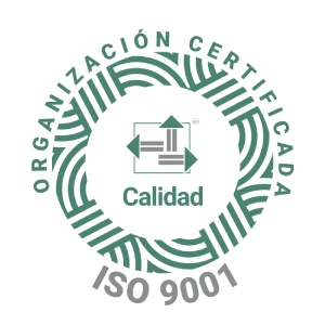 iso 9001 logotipo